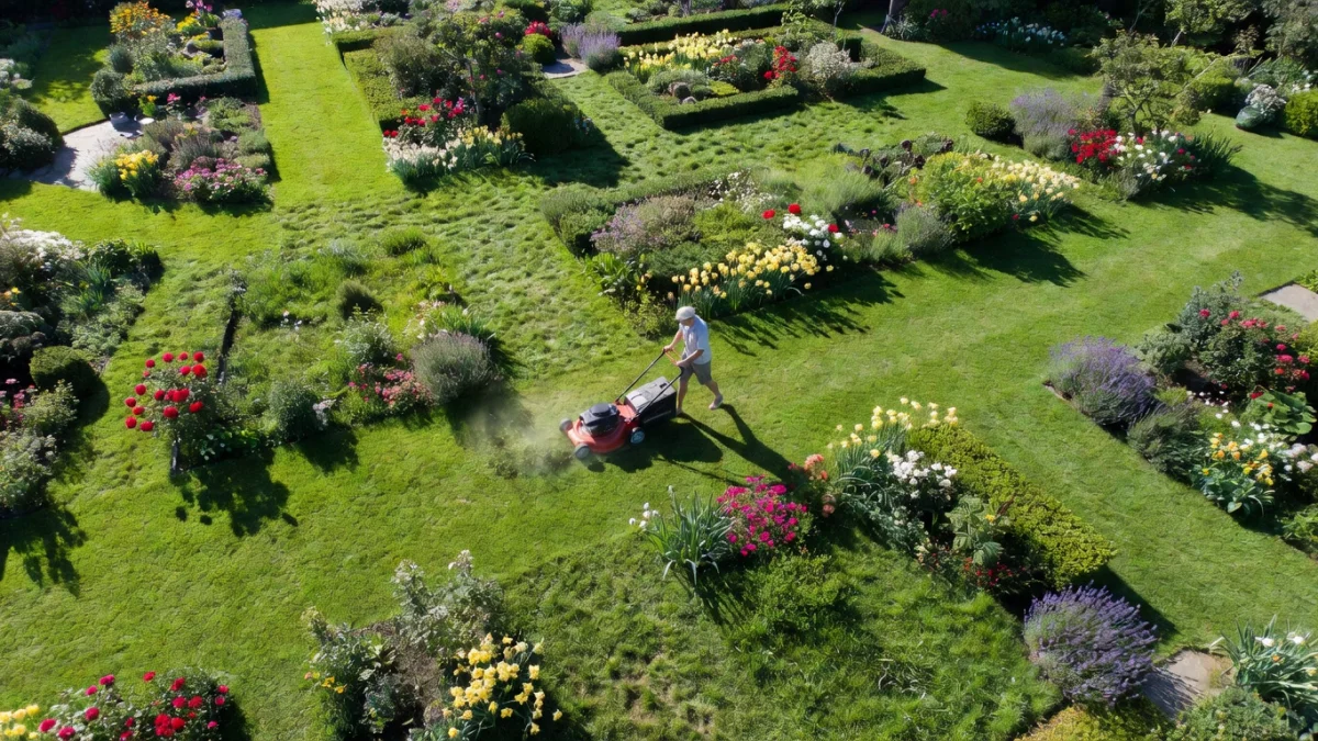 Comment choisir sa tondeuse selon la superficie de son jardin ?